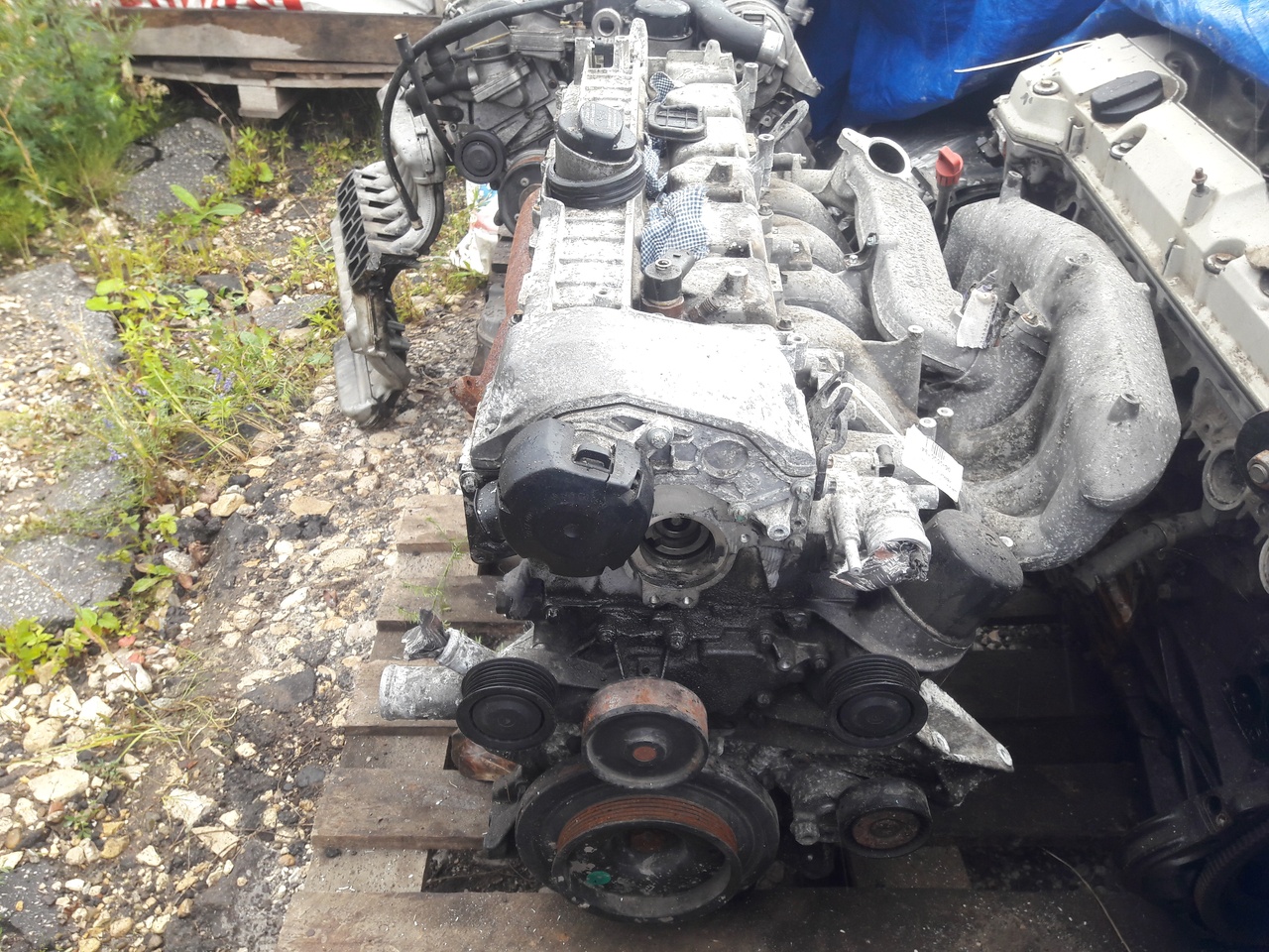 Двигатель Мерседес W211 OM648.961 Mercedes-Benz E-Klasse W211
